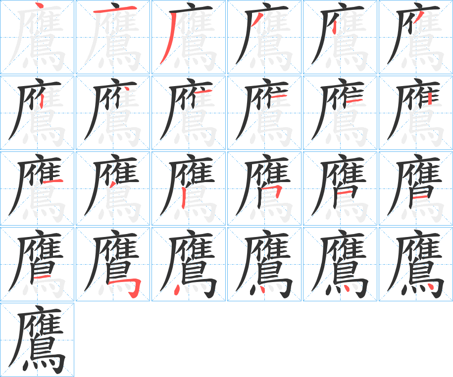 鷹字的筆順分步演示