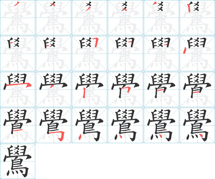 鷽字的筆順?lè)植窖菔?></p>
<h2>鷽的釋義：</h2>
鷽<br />xué<br />見(jiàn)“鸴”。<br />筆畫數(shù)：24；<br />部首：鳥；<br />筆順編號(hào)：321134345114532511154444<br />
<p>上一個(gè)：<a href='bs20758.html'>鸂的筆順</a></p>
<p>下一個(gè)：<a href='bs20756.html'>鸌的筆順</a></p>
<h3>相關(guān)筆畫筆順</h3>
<p class=