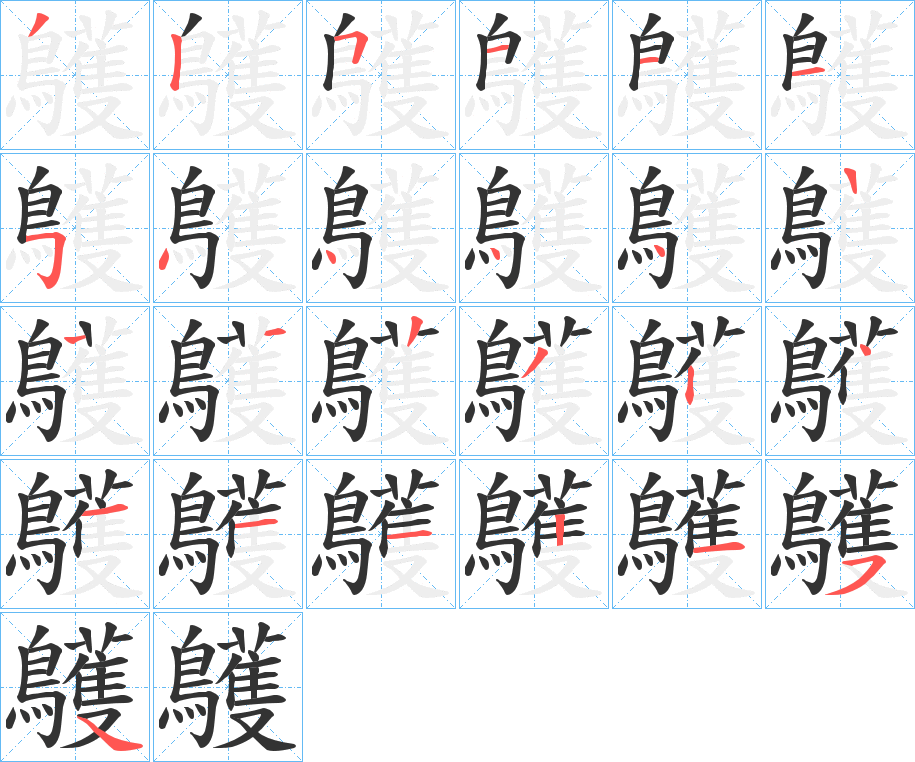 鸌字的筆順分步演示