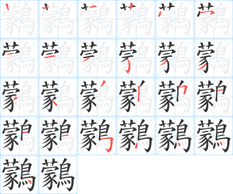 鸏字的筆順分步演示