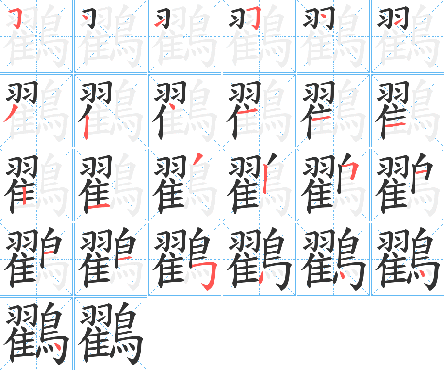 鸐字的筆順分步演示