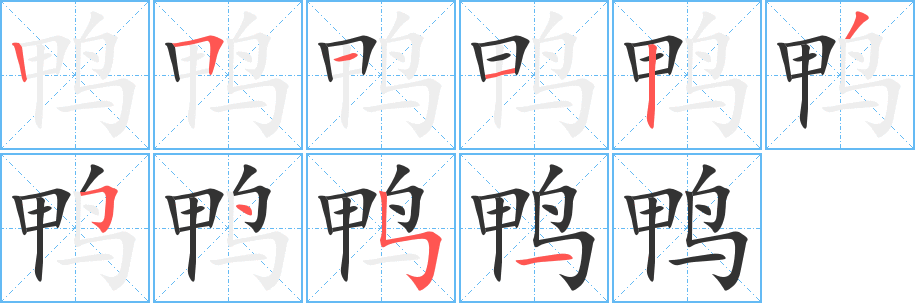 鴨字的筆順分步演示