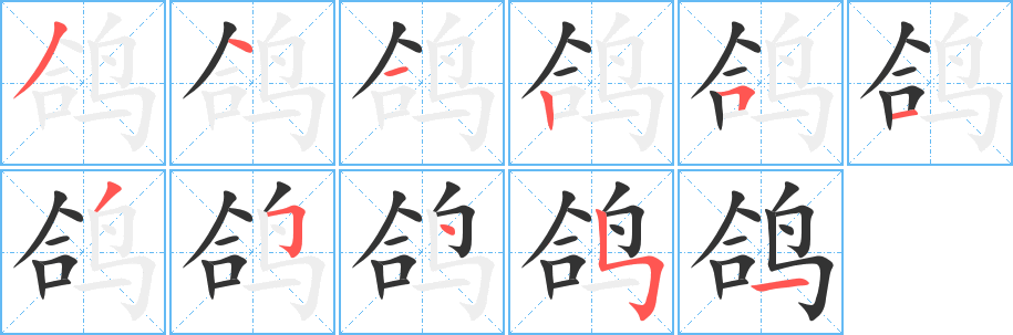 鴿字的筆順分步演示