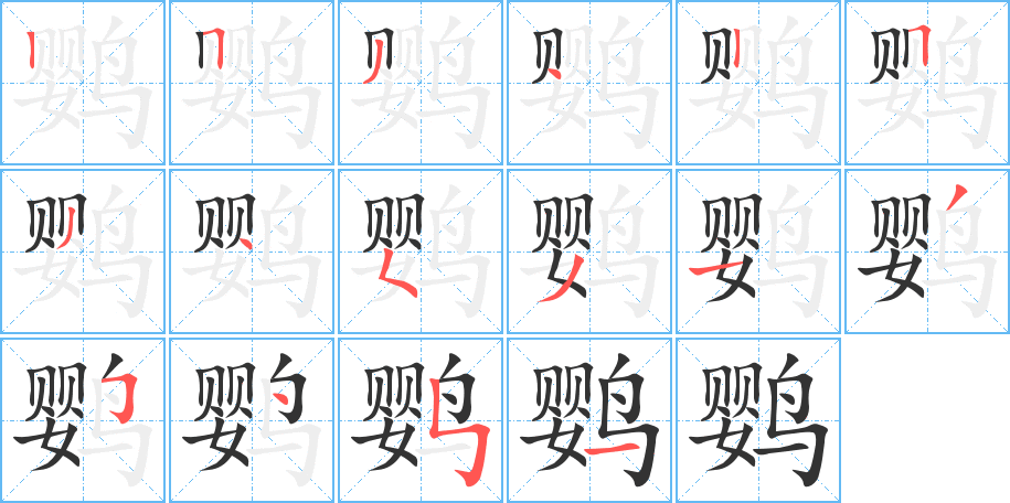 鸚字的筆順分步演示