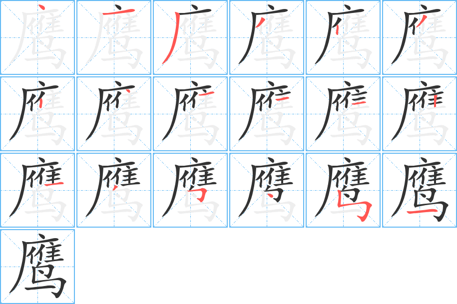 鷹字的筆順分步演示